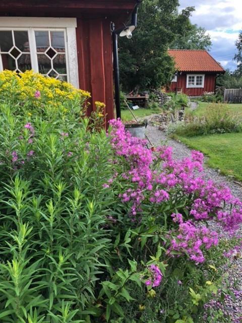 Bed and Breakfast Tystberga Logi Exterior foto